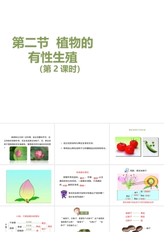 八年级生物下册 8.21.2《植物的有性生殖》（第2课时）课件 苏教版-苏教级下册生物课件