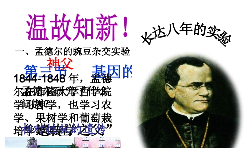 八年级生物下册 7.2.3 基因的显性和隐形（第2课时） 禁止近亲结婚课件 （新版）新人教版-（新版）新人教级下册生物课件