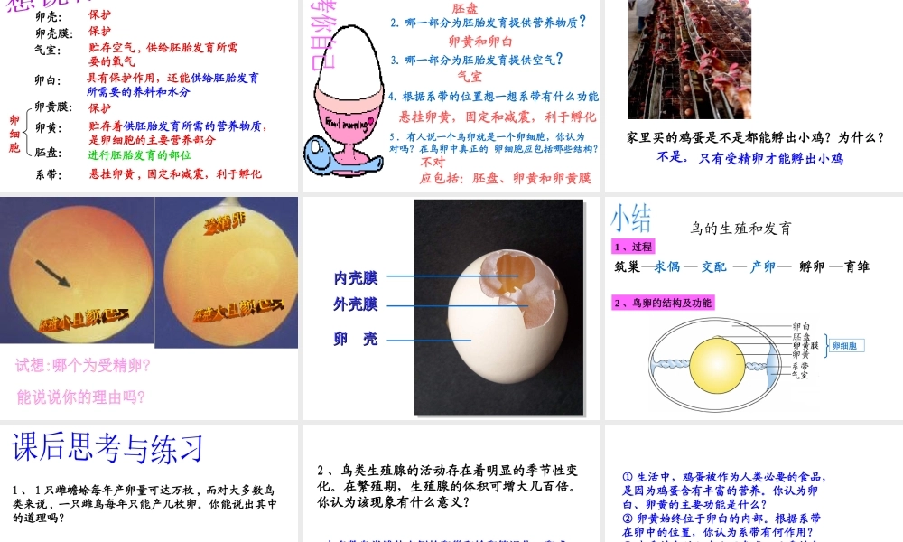 八年级生物下册 7.1.1 植物的生殖参考课件（2）（新版）新人教版-（新版）新人教级下册生物课件