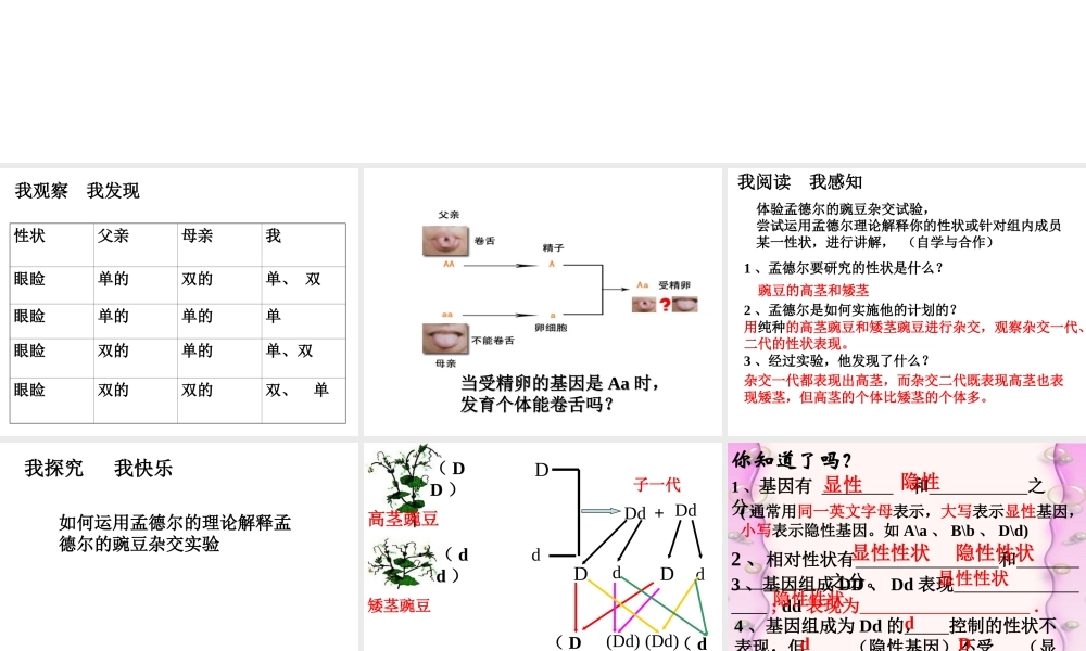 八年级生物下册 7.2.3 基因的显性和隐形课件 新人教版