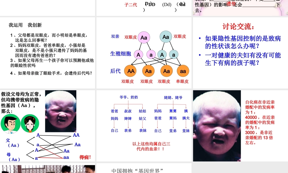 八年级生物下册 7.2.3 基因的显性和隐形课件 新人教版