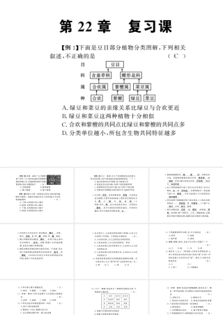 八年级生物下册 22 物种的多样性整理与复习课件 （新版）北师大版-（新版）北师大版初中八年级下册生物课件
