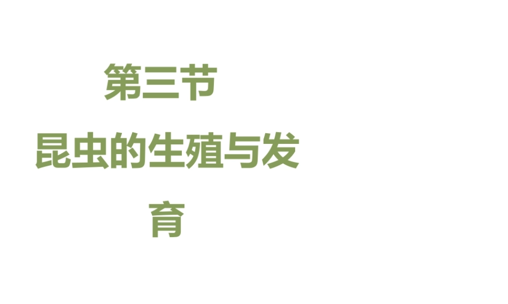 八年级生物下册 8.21.3《昆虫的生殖与发育》课件 苏教版-苏教版初中八年级下册生物课件