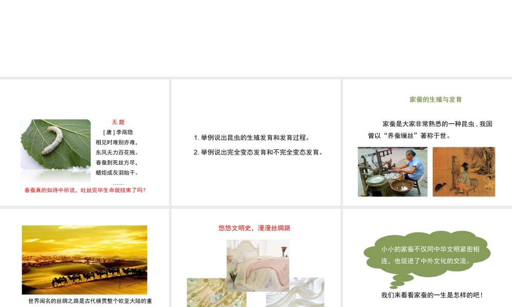 八年级生物下册 8.21.3《昆虫的生殖与发育》课件 苏教版-苏教版初中八年级下册生物课件