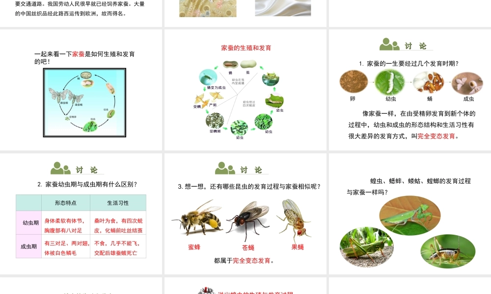 八年级生物下册 8.21.3《昆虫的生殖与发育》课件 苏教版-苏教版初中八年级下册生物课件