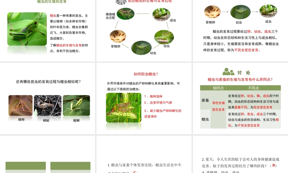 八年级生物下册 8.21.3《昆虫的生殖与发育》课件 苏教版-苏教版初中八年级下册生物课件
