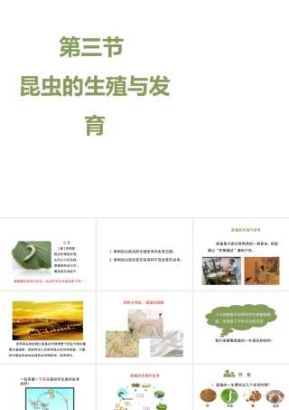 八年级生物下册 8.21.3《昆虫的生殖与发育》课件 苏教版-苏教版初中八年级下册生物课件