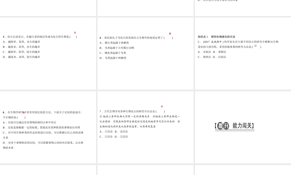 八年级生物下册 7.3.2 生物进化的历程（第1课时 学习研究生物进化的方法）课件 （新版）新人教版-（新版）新人教级下册生物课件