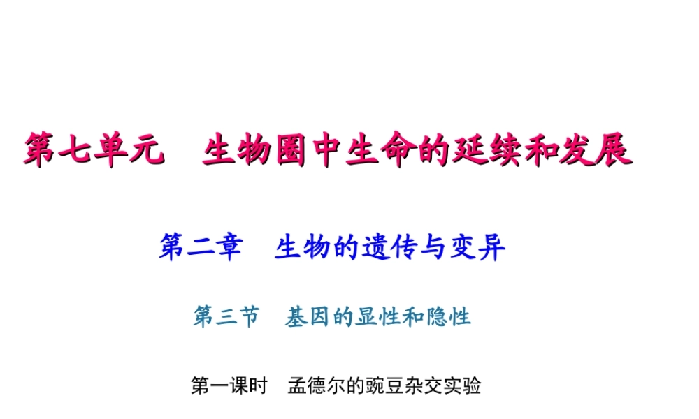 八年级生物下册 7.2.3 基因的显性和隐性（第1课时 孟德尔的豌豆杂交实验课件 （新版）新人教版-（新版）新人教版初中八年级下册生物课件