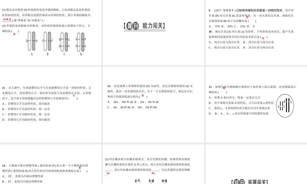 八年级生物下册 7.2.3 基因的显性和隐性（第1课时 孟德尔的豌豆杂交实验课件 （新版）新人教版-（新版）新人教版初中八年级下册生物课件