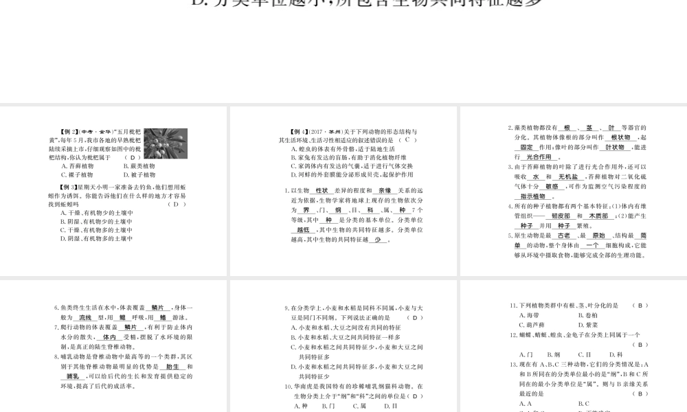 八年级生物下册 22 物种的多样性整理与复习课件 （新版）北师大版-（新版）北师大级下册生物课件