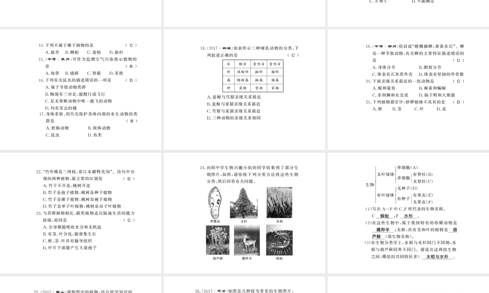 八年级生物下册 22 物种的多样性整理与复习课件 （新版）北师大版-（新版）北师大级下册生物课件