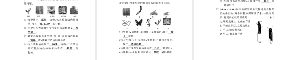 八年级生物下册 22 物种的多样性整理与复习课件 （新版）北师大版-（新版）北师大级下册生物课件