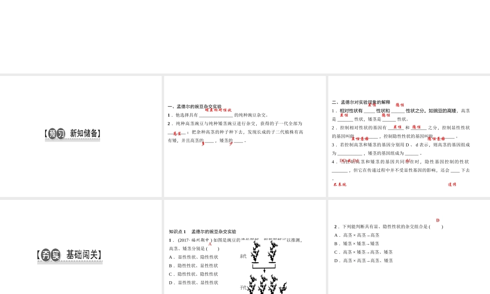 八年级生物下册 7.2.3 基因的显性和隐性（第1课时 孟德尔的豌豆杂交实验课件 （新版）新人教版-（新版）新人教级下册生物课件