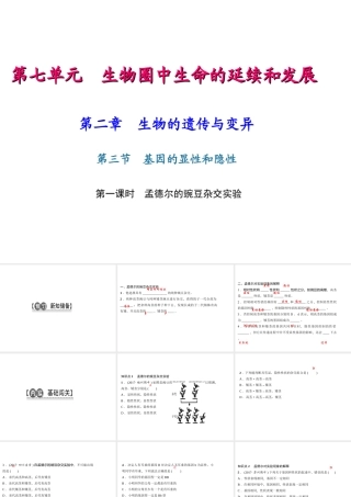 八年级生物下册 7.2.3 基因的显性和隐性（第1课时 孟德尔的豌豆杂交实验课件 （新版）新人教版-（新版）新人教级下册生物课件
