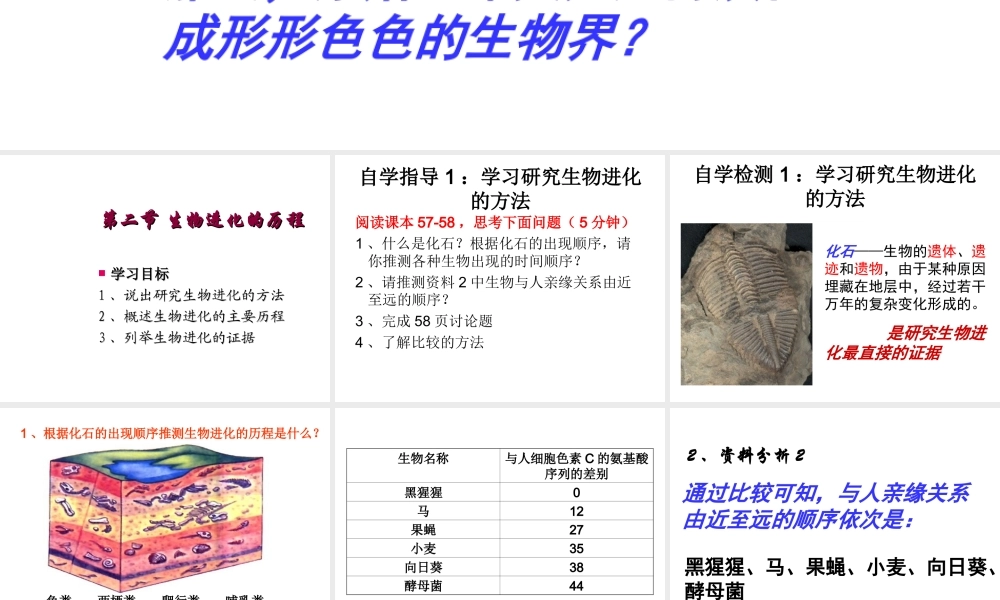 八年级生物下册 7.3.2 生物进化的历程（第1课时）课件 （新版）新人教版-（新版）新人教级下册生物课件