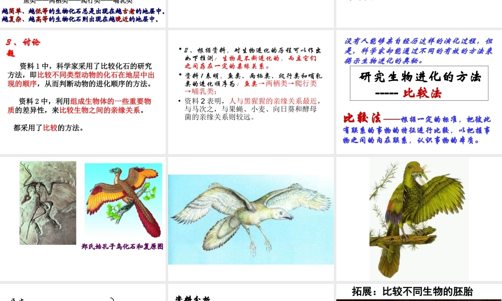 八年级生物下册 7.3.2 生物进化的历程（第1课时）课件 （新版）新人教版-（新版）新人教级下册生物课件