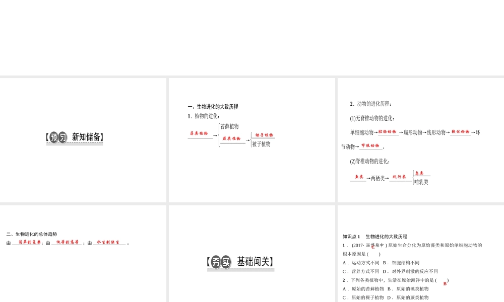 八年级生物下册 7.3.2 生物进化的历程（第2课时 生物进化的大致历程）课件 （新版）新人教版-（新版）新人教版初中八年级下册生物课件