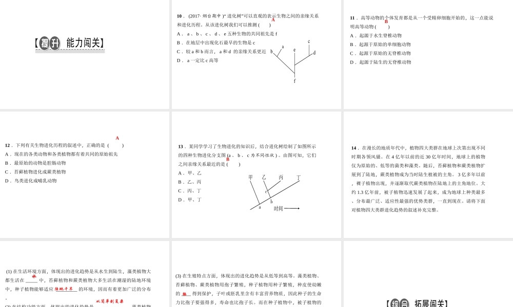 八年级生物下册 7.3.2 生物进化的历程（第2课时 生物进化的大致历程）课件 （新版）新人教版-（新版）新人教版初中八年级下册生物课件