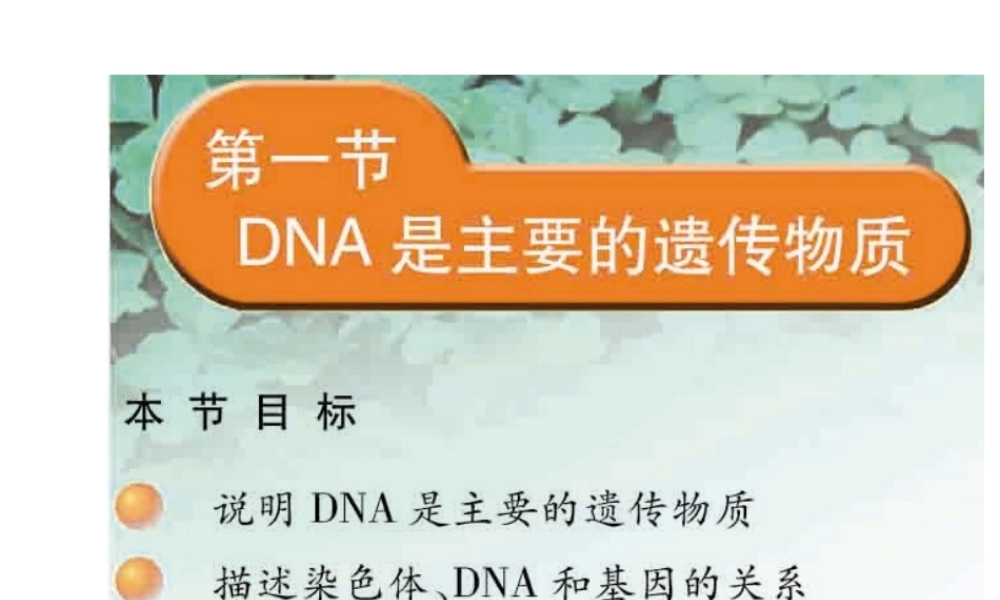 八年级生物下册 22.1 DNA是主要的遗传物质课件 （新版）苏教版-（新版）苏教级下册生物课件