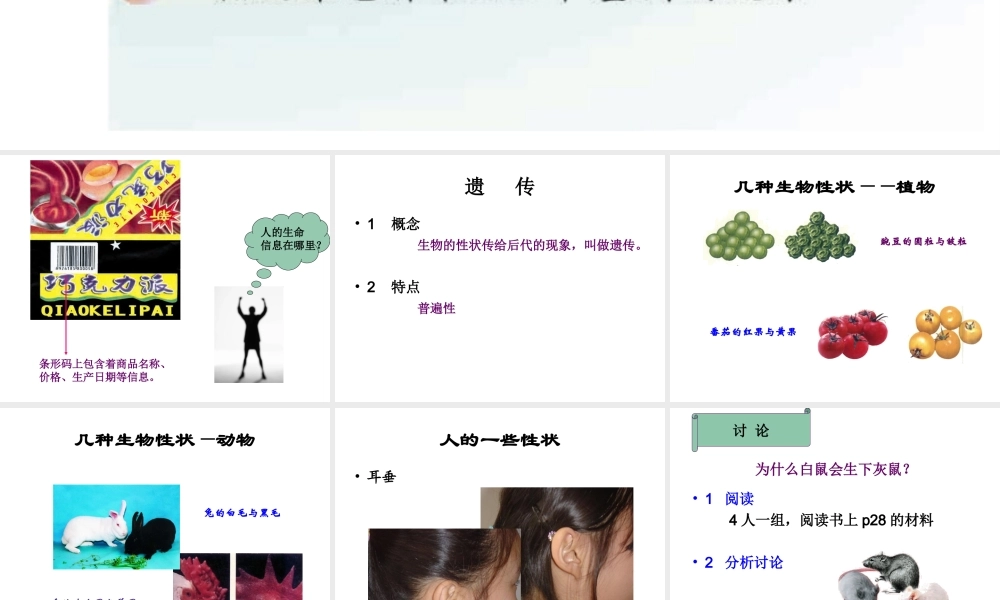八年级生物下册 22.1 DNA是主要的遗传物质课件 （新版）苏教版-（新版）苏教级下册生物课件