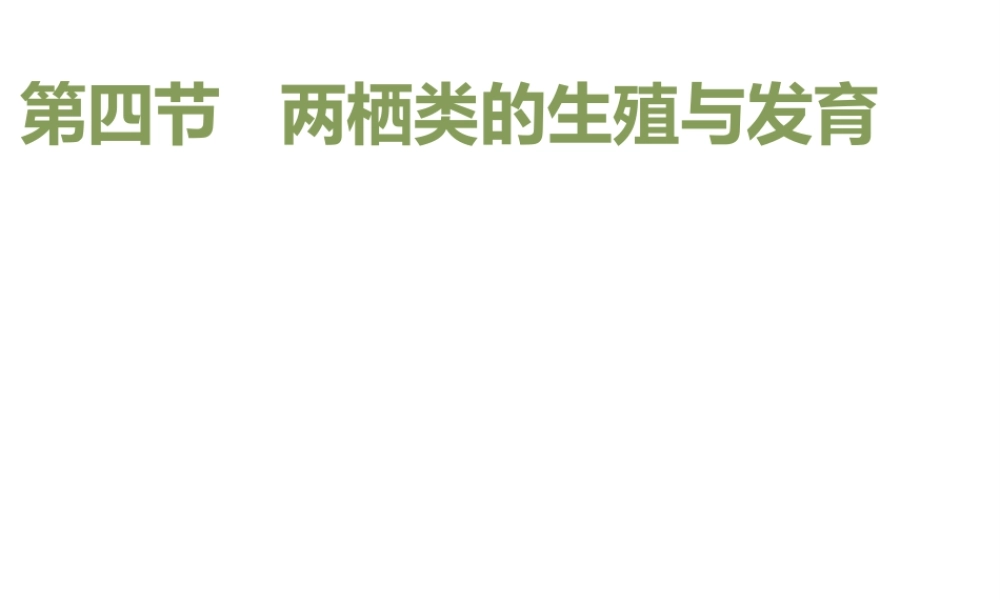 八年级生物下册 8.21.4《两栖类的生殖与发育》课件 苏教版-苏教版初中八年级下册生物课件