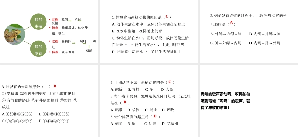 八年级生物下册 8.21.4《两栖类的生殖与发育》课件 苏教版-苏教版初中八年级下册生物课件