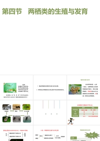八年级生物下册 8.21.4《两栖类的生殖与发育》课件 苏教版-苏教版初中八年级下册生物课件