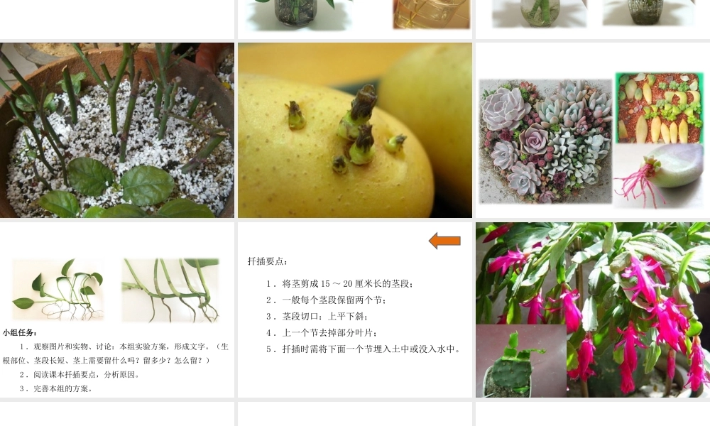 八年级生物下册 7.1.1 植物的生殖教学课件 （新版）新人教版-（新版）新人教版初中八年级下册生物课件