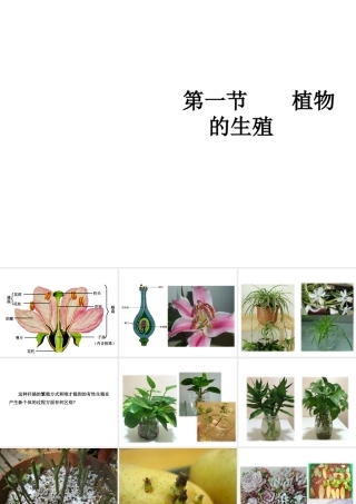 八年级生物下册 7.1.1 植物的生殖教学课件 （新版）新人教版-（新版）新人教版初中八年级下册生物课件