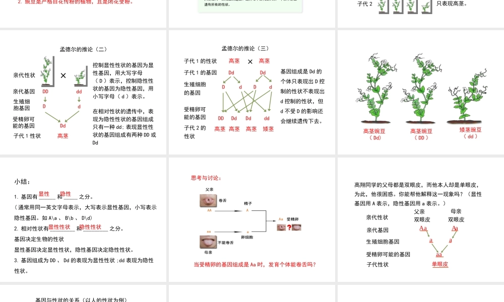 八年级生物下册 7.2.3 基因的显性和隐性（第1课时）教学课件 （新版）新人教版-（新版）新人教级下册生物课件