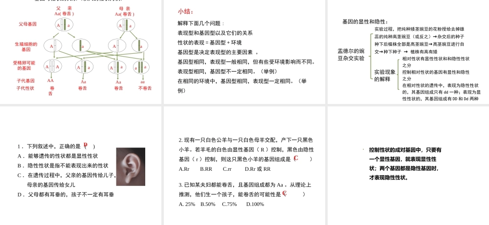 八年级生物下册 7.2.3 基因的显性和隐性（第1课时）教学课件 （新版）新人教版-（新版）新人教级下册生物课件
