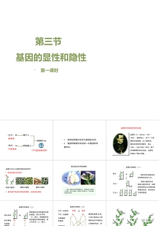 八年级生物下册 7.2.3 基因的显性和隐性（第1课时）教学课件 （新版）新人教版-（新版）新人教级下册生物课件