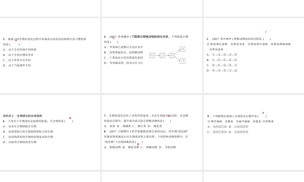 八年级生物下册 7.3.2 生物进化的历程（第2课时 生物进化的大致历程）课件 （新版）新人教版-（新版）新人教级下册生物课件