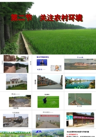 八年级生物下册 24.2 关注农村环境课件 （新版）北师大版-（新版）北师大版初中八年级下册生物课件