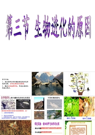 八年级生物下册 7.3.2 生物进化的历程（第2课时）课件 （新版）新人教版-（新版）新人教版初中八年级下册生物课件