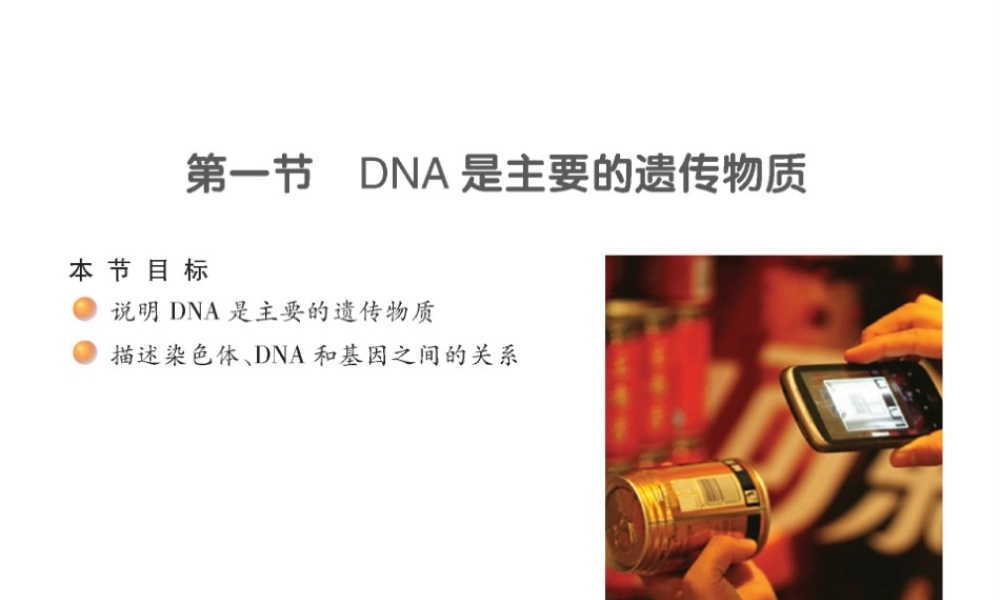 八年级生物下册 22.1 NDA是主要的遗传课件 （新版）苏教版-（新版）苏教版初中八年级下册生物课件