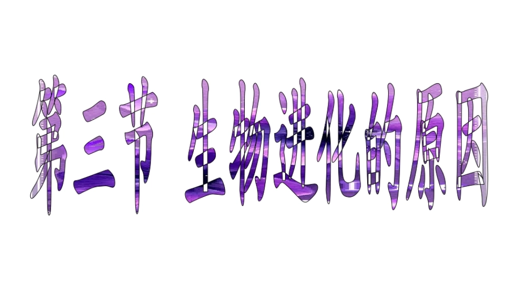 八年级生物下册 7.3.2 生物进化的历程（第2课时）课件 （新版）新人教版-（新版）新人教级下册生物课件