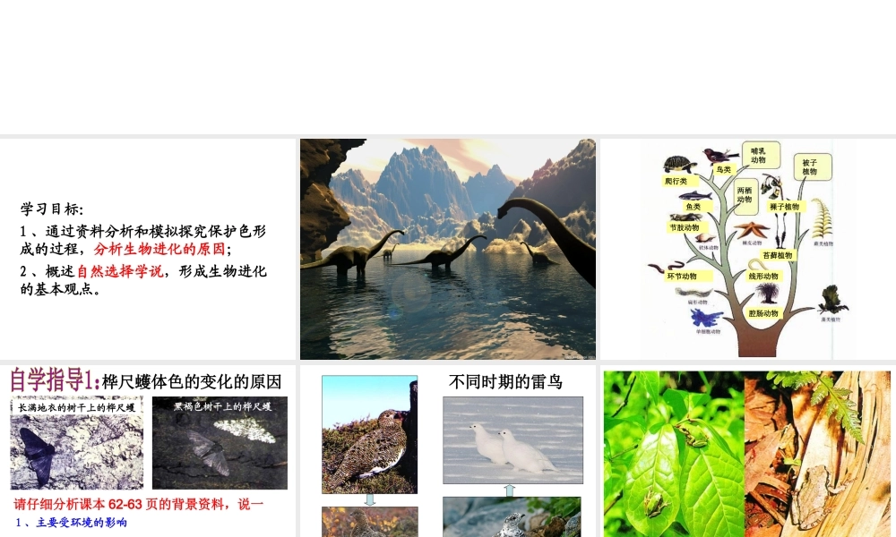 八年级生物下册 7.3.2 生物进化的历程（第2课时）课件 （新版）新人教版-（新版）新人教级下册生物课件