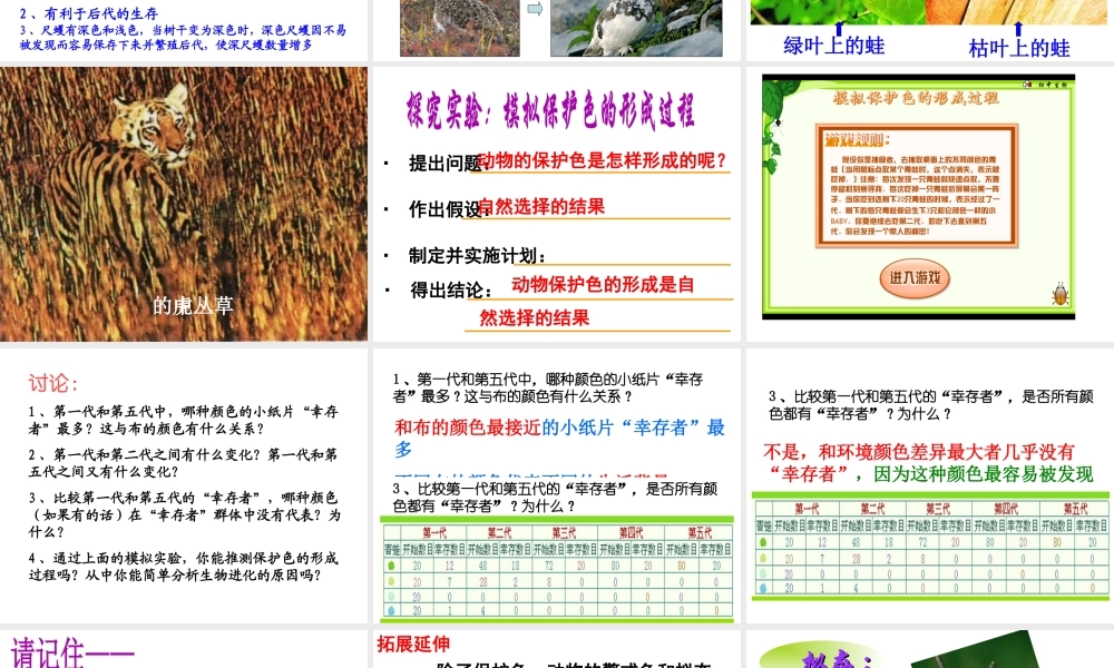 八年级生物下册 7.3.2 生物进化的历程（第2课时）课件 （新版）新人教版-（新版）新人教级下册生物课件