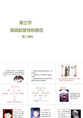 八年级生物下册 7.2.3 基因的显性和隐性（第2课时）教学课件 （新版）新人教版-（新版）新人教版初中八年级下册生物课件