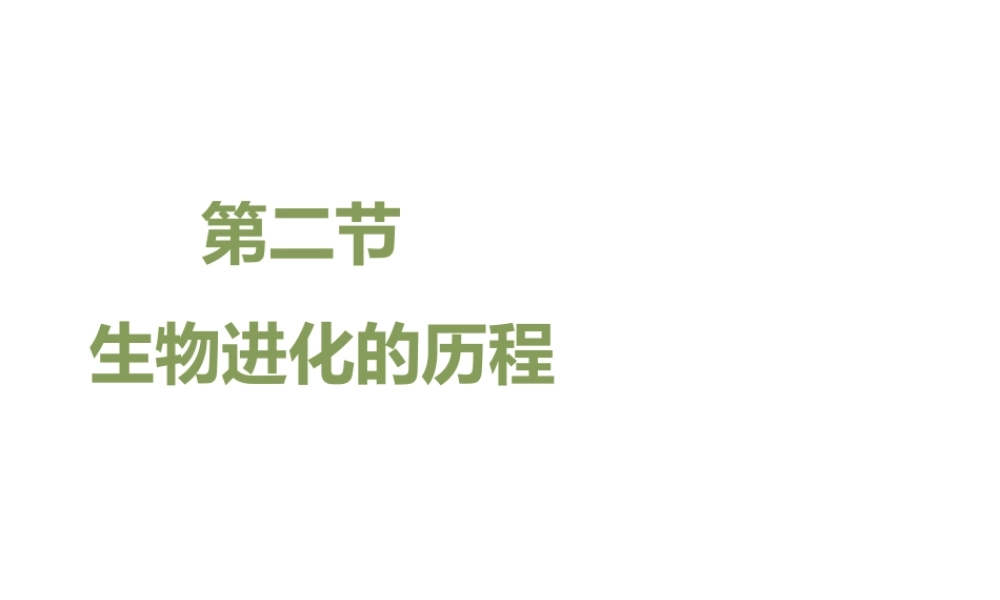 八年级生物下册 7.3.2 生物进化的历程教学课件 （新版）新人教版-（新版）新人教版初中八年级下册生物课件