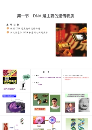 八年级生物下册 22.1 NDA是主要的遗传课件 （新版）苏教版-（新版）苏教级下册生物课件