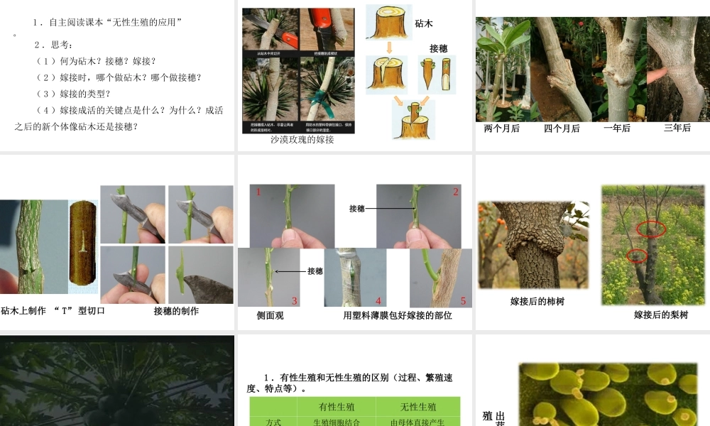 八年级生物下册 7.1.1 植物的生殖教学课件 （新版）新人教版-（新版）新人教级下册生物课件