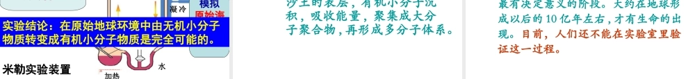 八年级生物下册 22.1 生命的起源课件 苏科版-苏科版初中八年级下册生物课件
