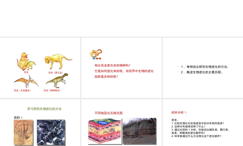 八年级生物下册 7.3.2 生物进化的历程教学课件 （新版）新人教版-（新版）新人教级下册生物课件