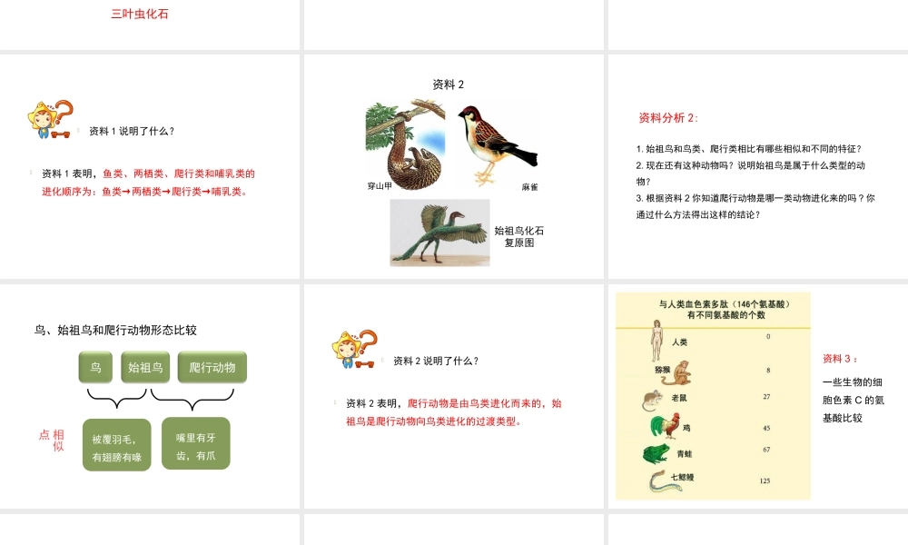 八年级生物下册 7.3.2 生物进化的历程教学课件 （新版）新人教版-（新版）新人教级下册生物课件