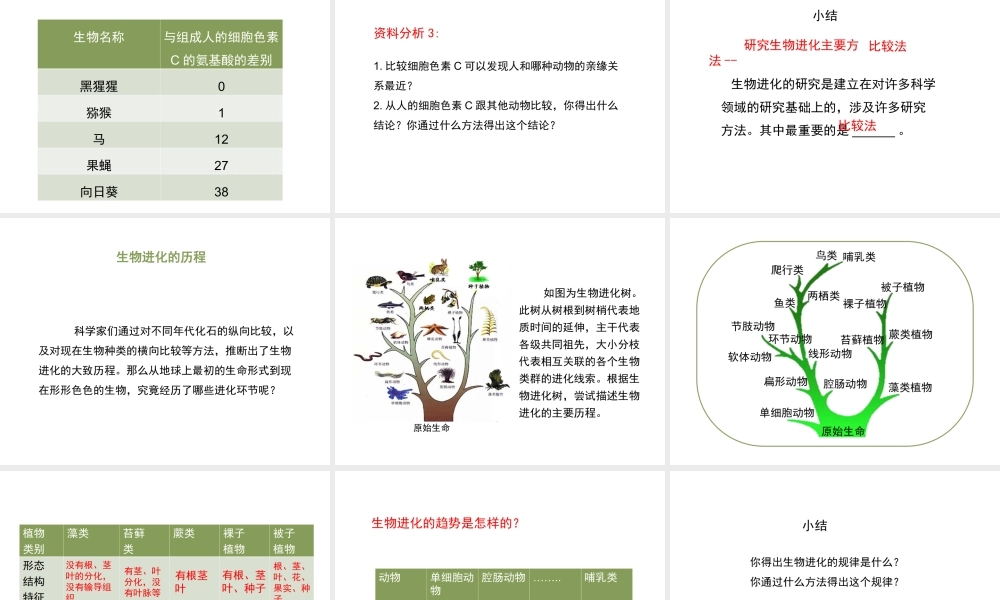 八年级生物下册 7.3.2 生物进化的历程教学课件 （新版）新人教版-（新版）新人教级下册生物课件