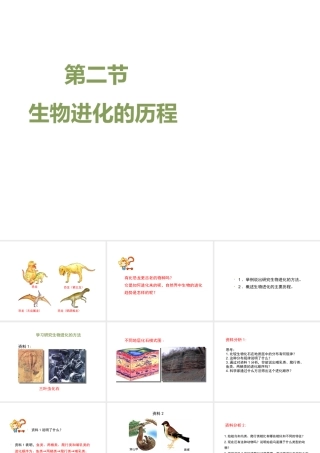 八年级生物下册 7.3.2 生物进化的历程教学课件 （新版）新人教版-（新版）新人教级下册生物课件