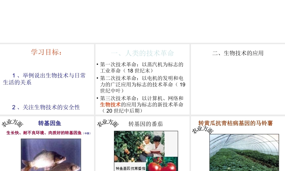 八年级生物下册 24.2 关注生物技术课件 （新版）苏教版-（新版）苏教版初中八年级下册生物课件